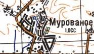 Топографічна карта Мурованого