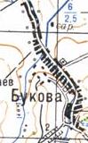 Топографическая карта Буковой