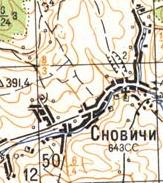 Topographic map of Snovychi