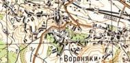 Topographic map of Voronyaky