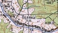 Топографічна карта Поляної