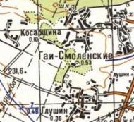 Топографічна карта Гаї-Смоленських