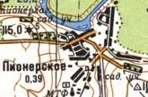 Topographic map of Pionerske