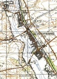 Topographic map of Belokurakino