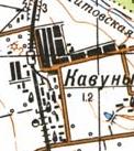 Топографічна карта Кавунів