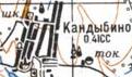 Топографічна карта Кандибиного