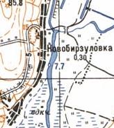 Топографическая карта Новобирзуловки