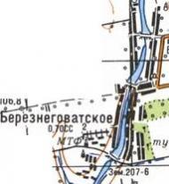 Топографічна карта Березнегуватського