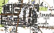 Топографічна карта Тридубів
