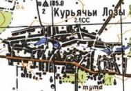 Topographic map of Kuryachi Lozy