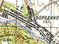 Топографічна карта Бородіна