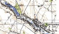 Топографічна карта Кричунового