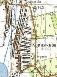 Topographic map of Krynychne