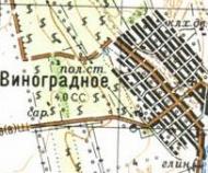 Topographic map of Vynogradne