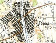 Топографічна карта Городнього