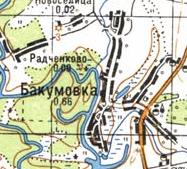 Топографическая карта Бакумовки