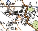 Topographic map of Velyki Lypnyagy