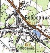 Топографическая карта Бобровника