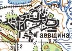 Топографічна карта Гаївщиної