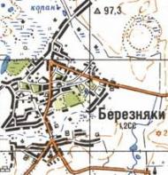 Топографічна карта Березняок