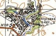 Топографическая карта Белоусовки