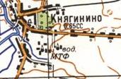 Топографічна карта Княгининого