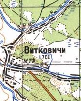 Topographic map of Vitkovychi