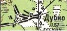 Топографічна карта Дубна