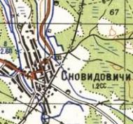 Топографічна карта Сновидовичів