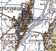 Топографическая карта Дубровицы
