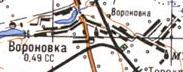 Топографическая карта Вороновки