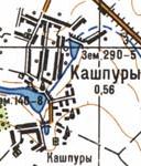 Топографічна карта Кашпурів