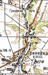 Топографическая карта Гриневки