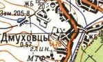 Topographic map of Dmukhivtsi