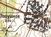 Topographic map of Lopushne