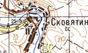 Топографическая карта Сковятина