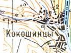 Топографічна карта Кокошинців