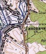 Топографічна карта Гиновичів