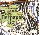 Topographic map of Petrykiv