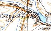 Topographic map of Skoryky