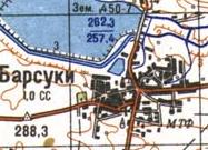 Topographic map of Borsuky
