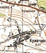 Топографічна карта Кривчиок