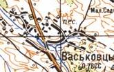 Topographic map of Vaskivtsi