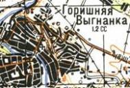 Topographic map of Gorishnya Vygnanka