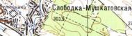 Топографічна карта Слобідка-Мушкатівської