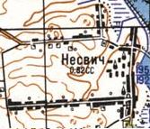 Topographic map of Nesvich