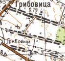 Топографічна карта Грибовиці
