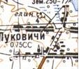 Topographic map of Lukovychi