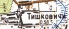 Топографічна карта Тишковичів