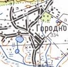 Topographic map of Gorodnye